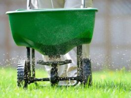 4 Things To Consider Before Your Lawn Fertilizer Service