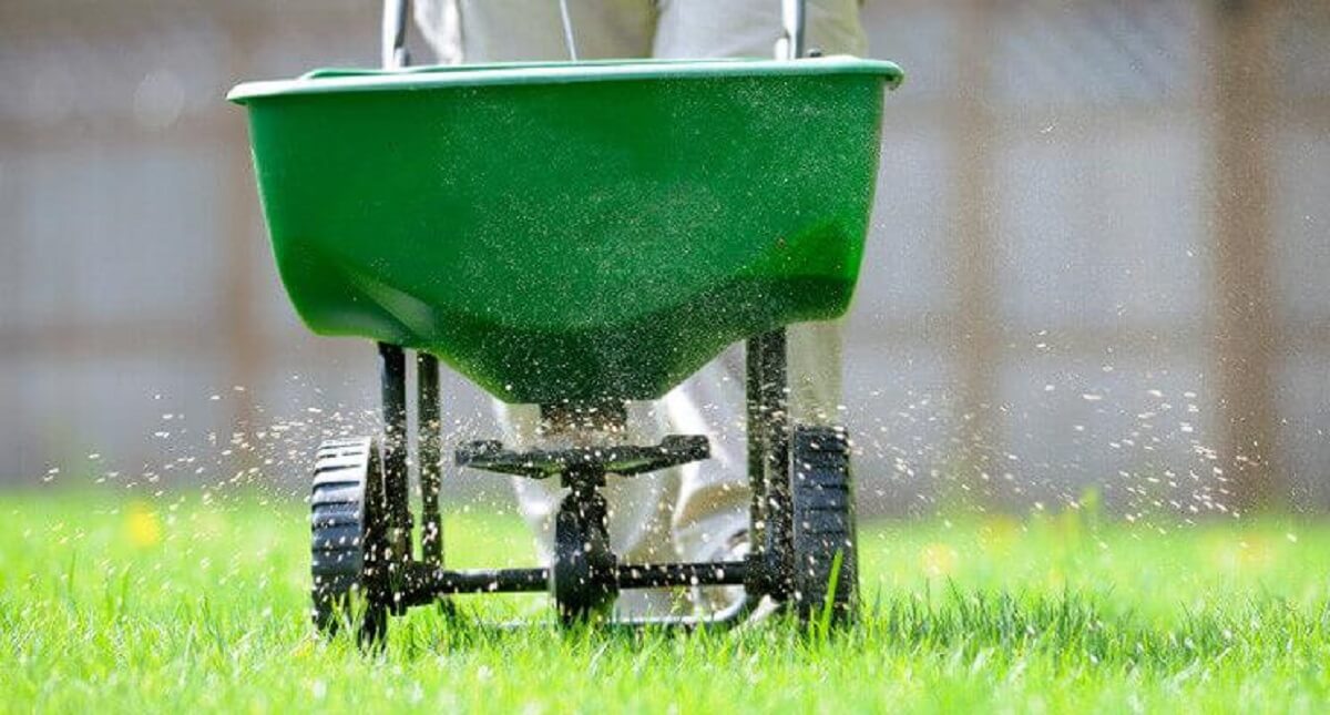 4 Things To Consider Before Your Lawn Fertilizer Service