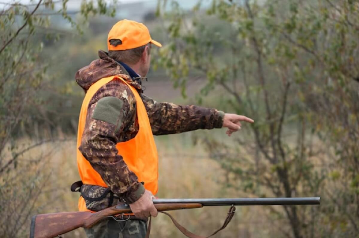 4. Habitat Selection and Stand Placement
