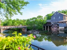 What to Do in Pigeon Forge When You Want to Skip the Crowds