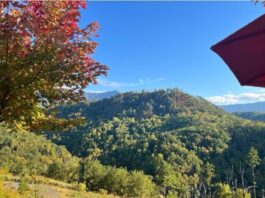 Why a Mountain Vacation Beats Any City Break