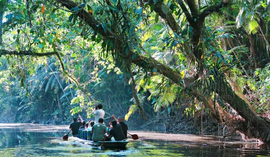 How To Plan the Perfect Amazon Rainforest Trip in Ecuador