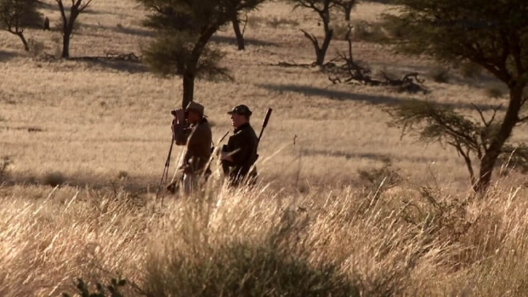 Laws of Survival for a Hunter in the Desert