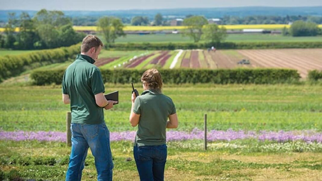 Walkie-Talkie Communication for Large Properties and Farms