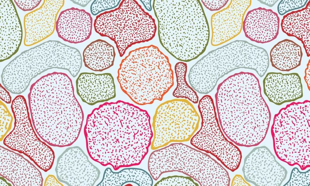 The Silent Architects How Microbes Shape Our World