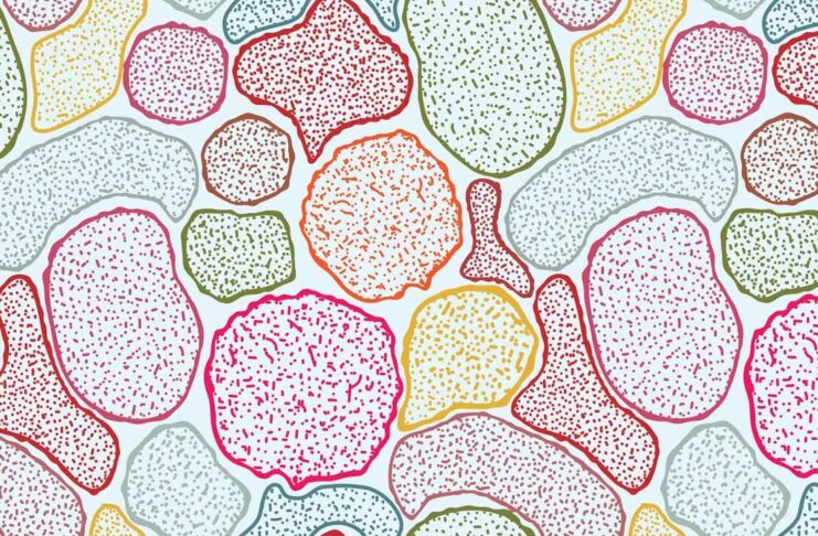 The Silent Architects How Microbes Shape Our World