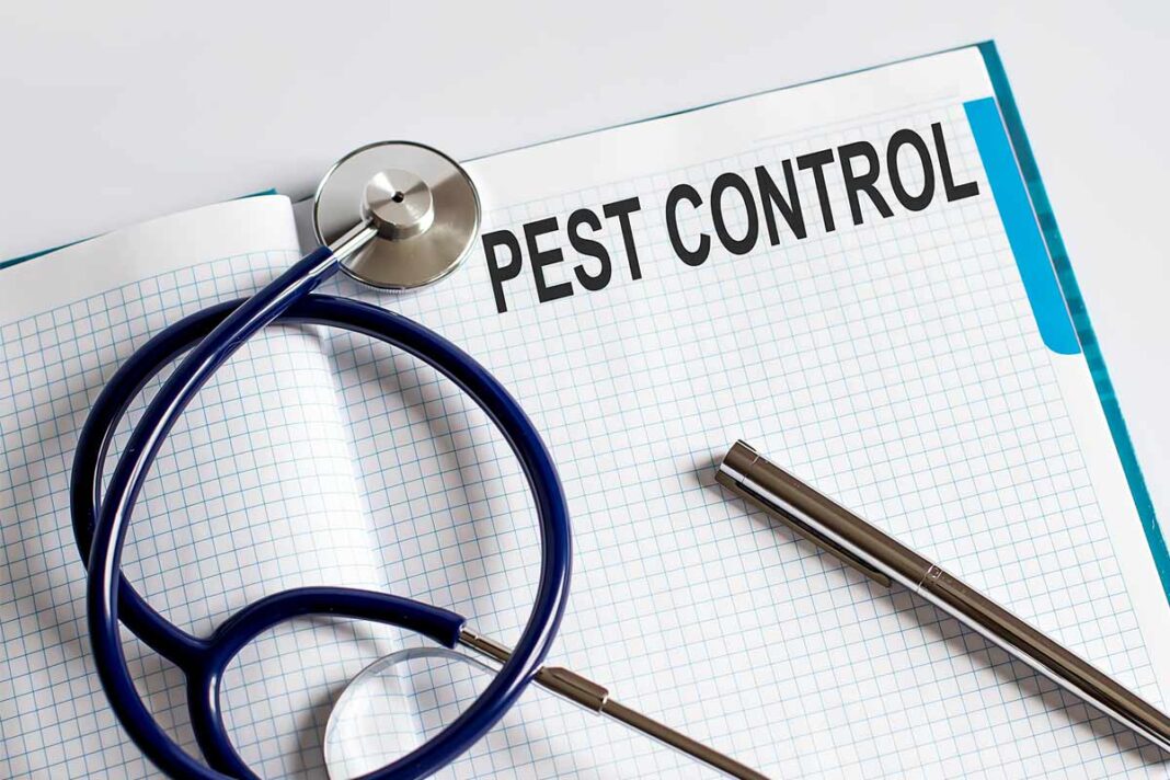 What are the Essential Steps for Preventing Pests