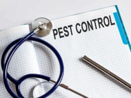 What are the Essential Steps for Preventing Pests