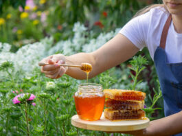 Why is Romanian Honey Gaining Popularity in the UK?