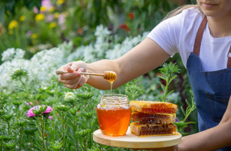 Why is Romanian Honey Gaining Popularity in the UK?